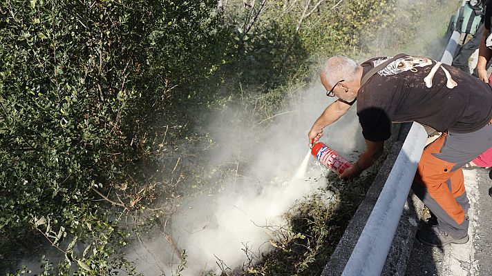 Telediario Fin de Semana - Telediario - 21 horas - 23/10/22