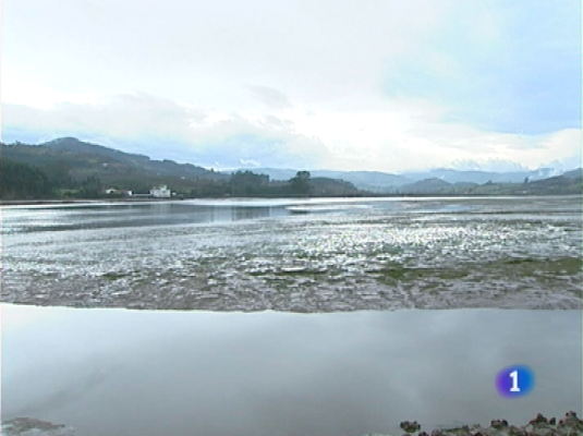 Panorama Regional - Panorama regional - 18/01/10