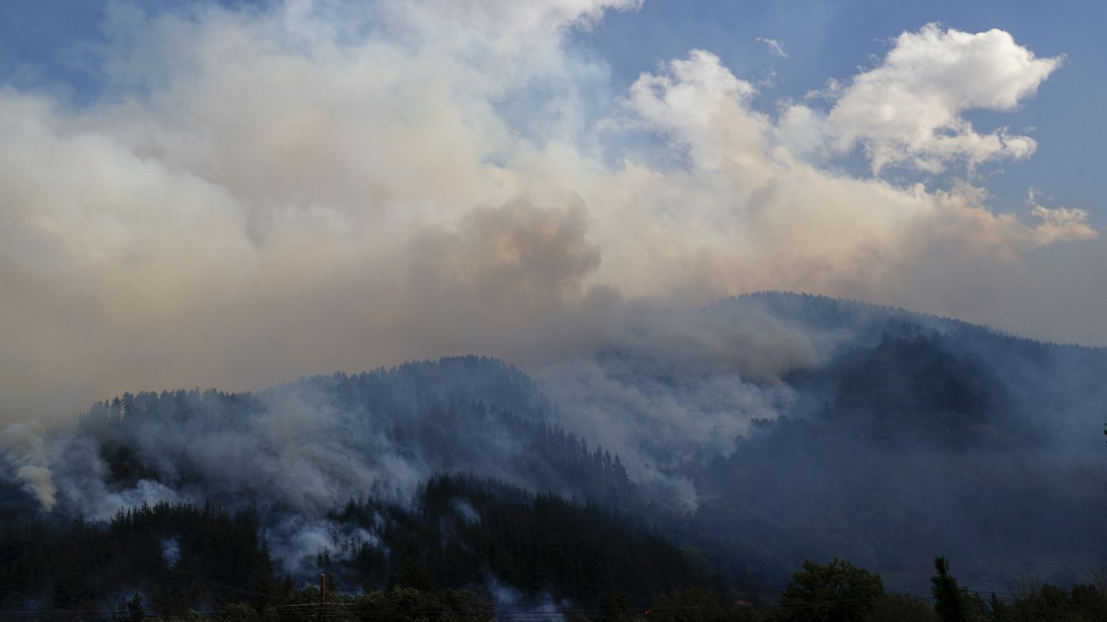 Diario 24 - 24/10/22 (1) - ver ahora