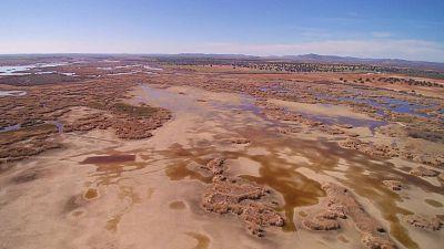 XIII Concurso de Cortos RNE - Alerta! - Ver ahora