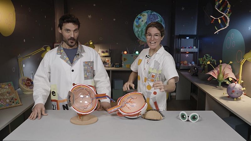 Los Ojos - Aprendemos en Clan | Ver