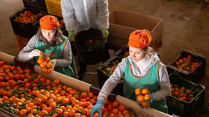 Telediario 1 - Las cooperativas, contra las cuerdas por los elevados costes de energía