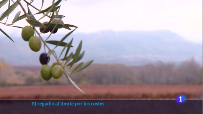 Informativo Telerioja - Telerioja en 2' - 25/10/22