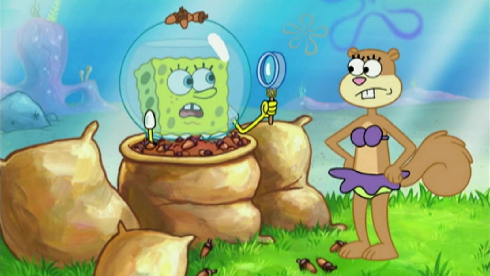 ¿Un escondite sorprendente? - Bob Esponja | Ver