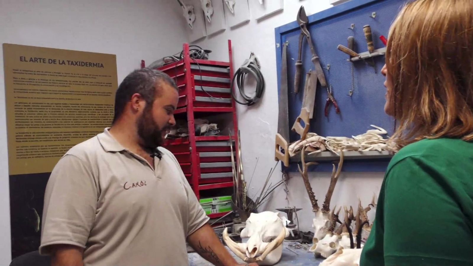 Aquí hay trabajo - 26/10/22 - ver ahora