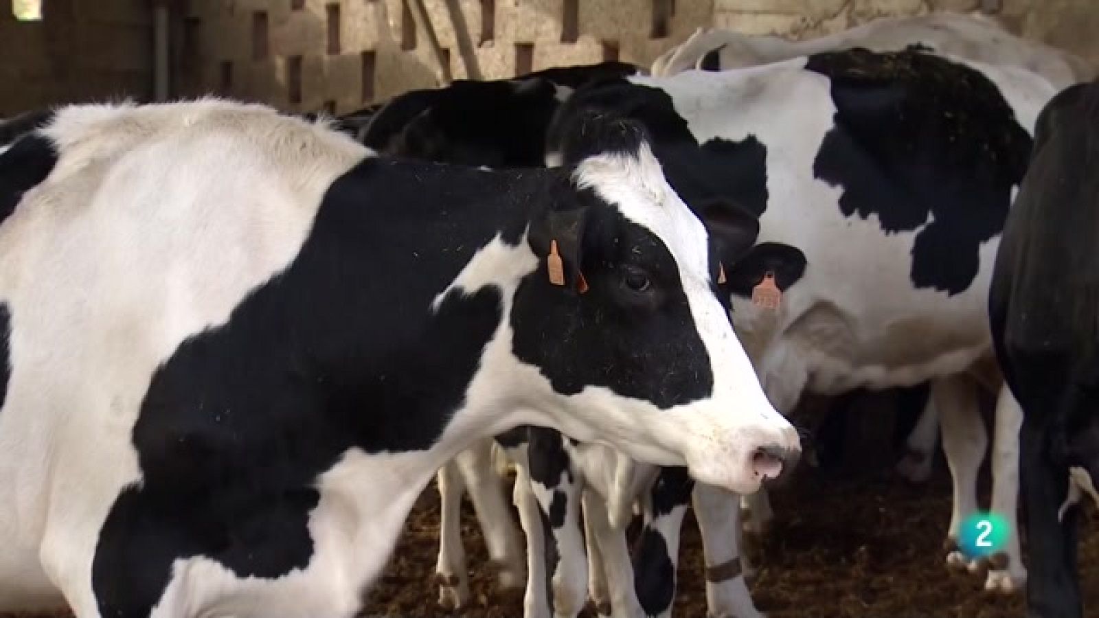 Telecanarias 2  - 25/10/2022