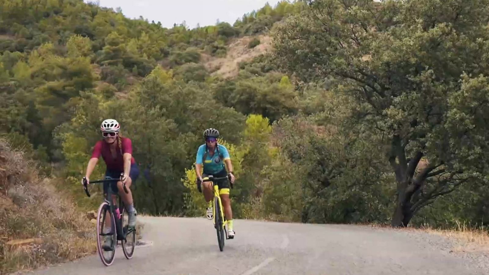 Evasión - Programa 21 - ver ahora