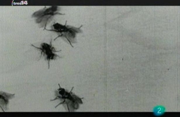 tres14 - Curiosidades