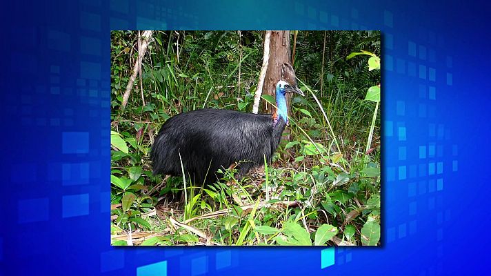 Saber y ganar - Saber y ganar - 27/10/22