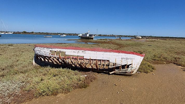 El escarabajo verde - Océanos 3: La eterna reserva