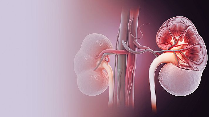 Saber vivir - Cuida de tus riñones con los consejos Héctor Castiñeira