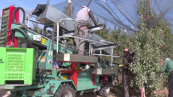 Aquí hay trabajo - Aquí hay trabajo - 31/10/22