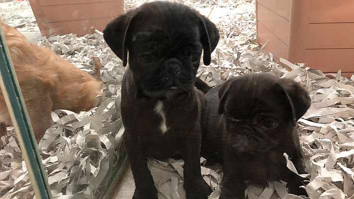  - Avance "Un espejo en qué mirarnos"