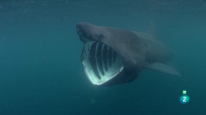 Som Documentals - Cornualla, la vida en els confins del món