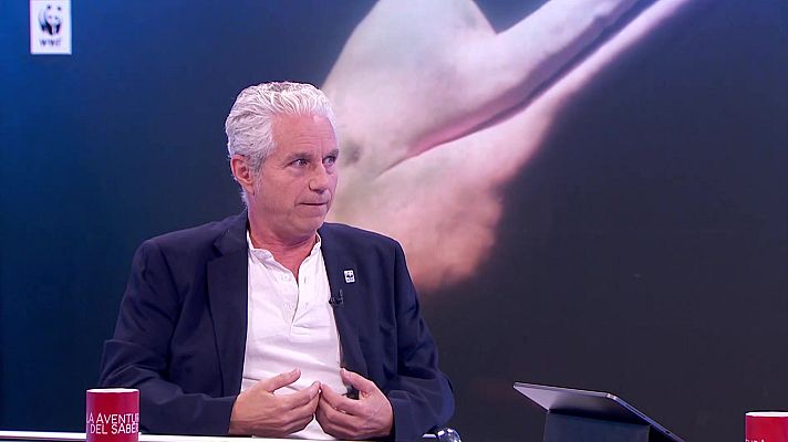 La aventura del Saber - La aventura del saber - 02/11/22