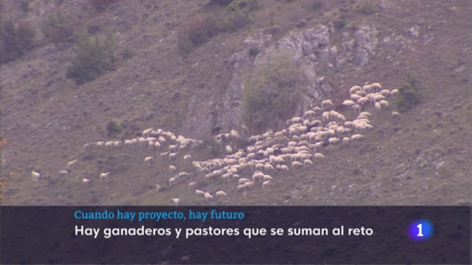 Telerioja en 2' - 03/11/22 - Ver ahora