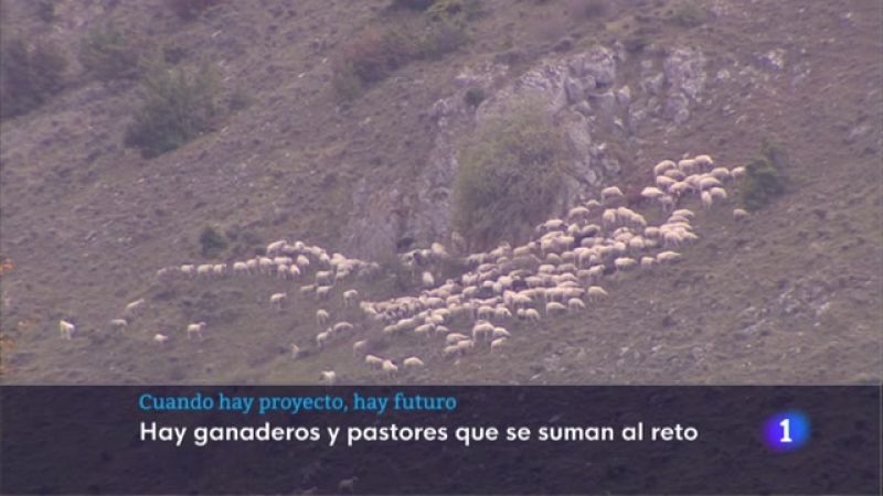 Telerioja en 2' - 03/11/22 - Ver ahora