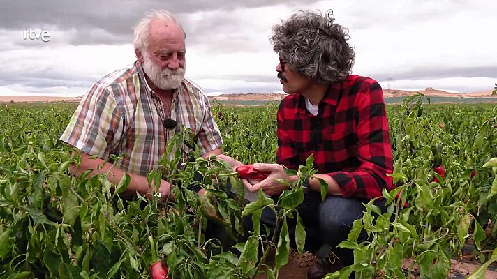 Aquí la Tierra - Aquí la Tierra - 03/11/22