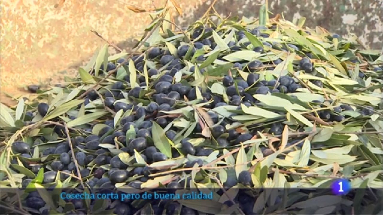 Informativo Telerioja 2 - 04/11/22 - Ver ahora