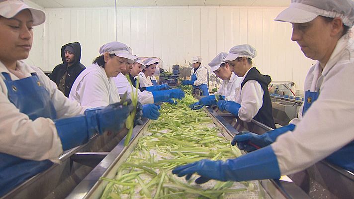 Agrosfera - Agrosfera - 05/11/22