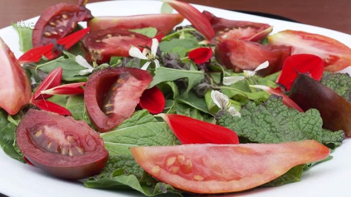 Aquí la Tierra - Receta de ensalada con brotes de temporada