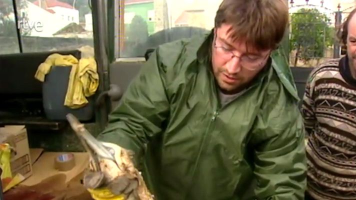 Informe Semanal - Galicia, catástrofe ecológica