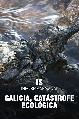 Informe Semanal - Galicia, catástrofe ecológica