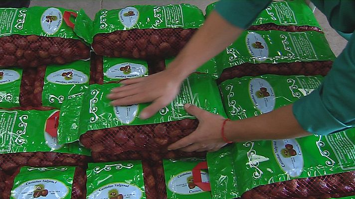 Noticias Andalucía - La sequía afecta a las castañas