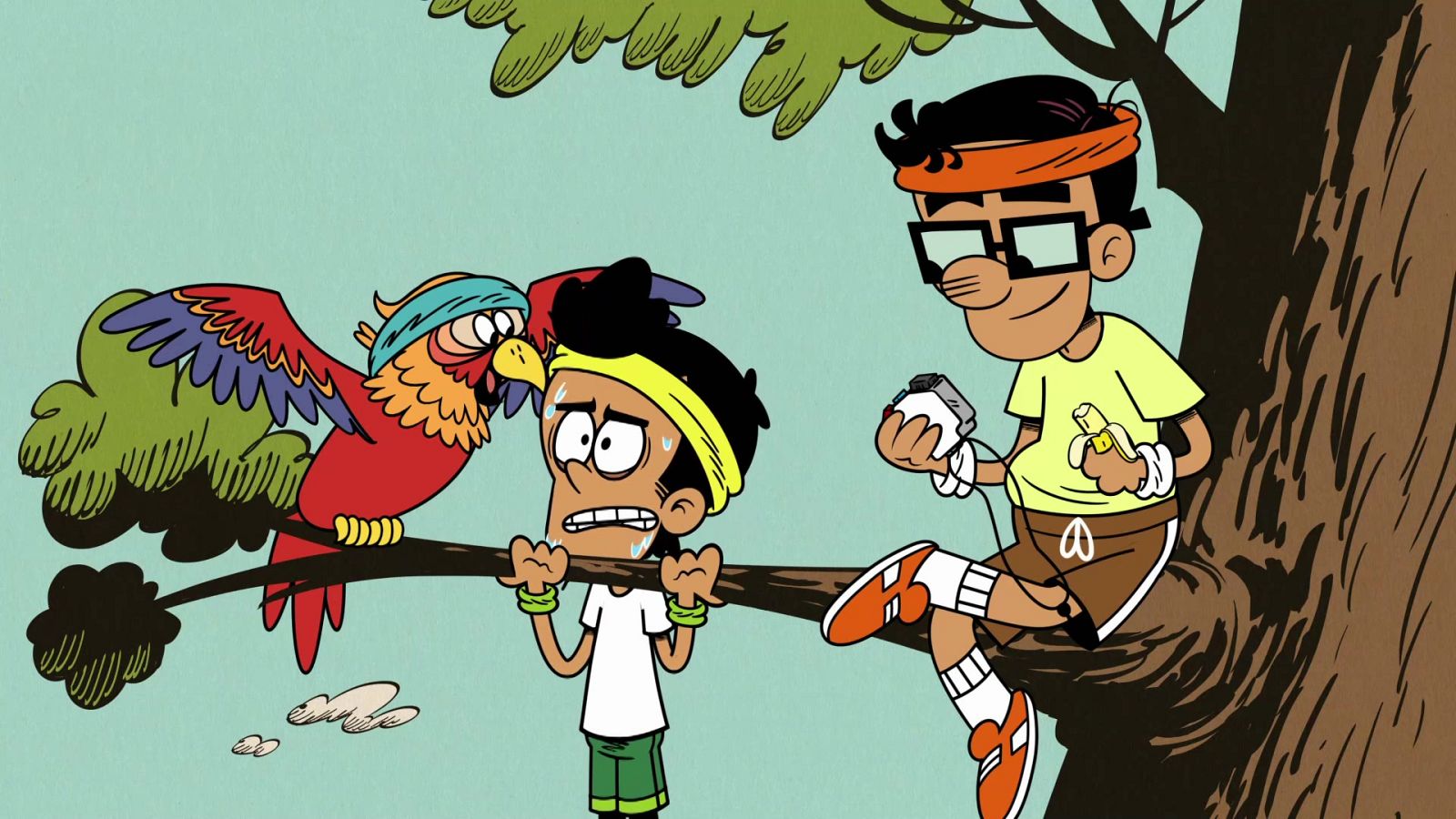 Examen cardiaco - Los Casagrande | Ver