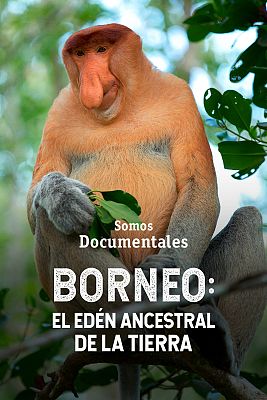 Somos Documentales - Borneo: el edén ancestral de la Tierra