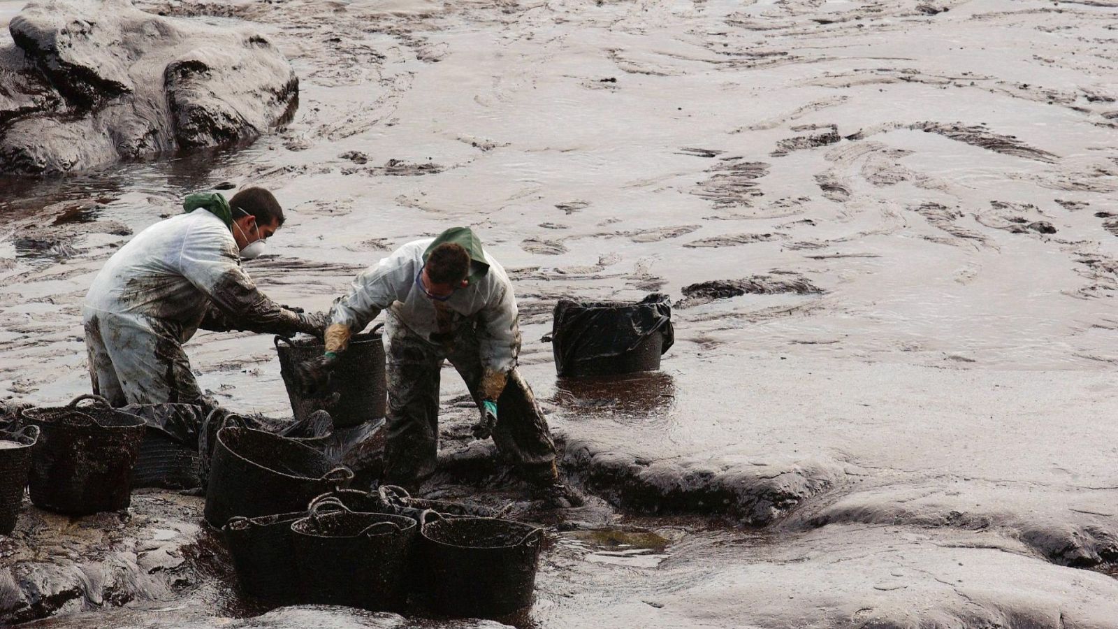 20 años de la catástrofe del Prestige: Murieron entre 115.000 y 230.000 aves de 90 especies distintas - Ver ahora