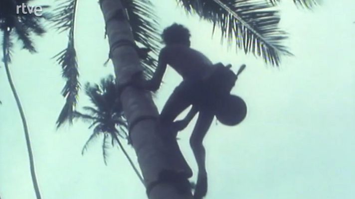 Los marginados - Sri Lanka: los dioses de la jungla