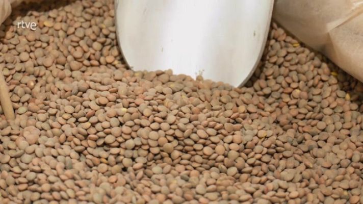 Aquí la Tierra - Lentejas: variedades y cómo cocinarlas