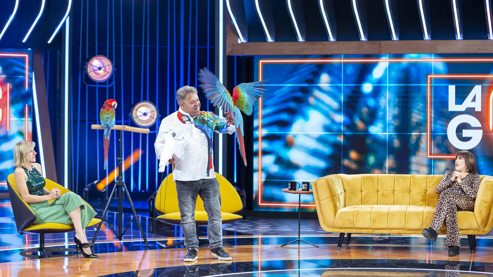 La gran confusión - El señor de las guacamayas