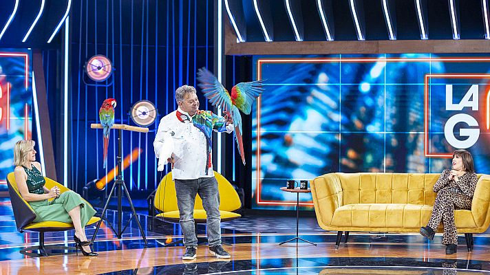 La gran confusión - El señor de las guacamayas