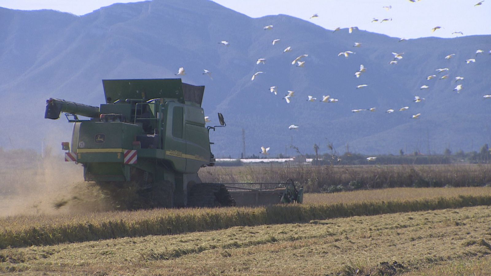 Agrosfera - 12/11/22 - ver ahora