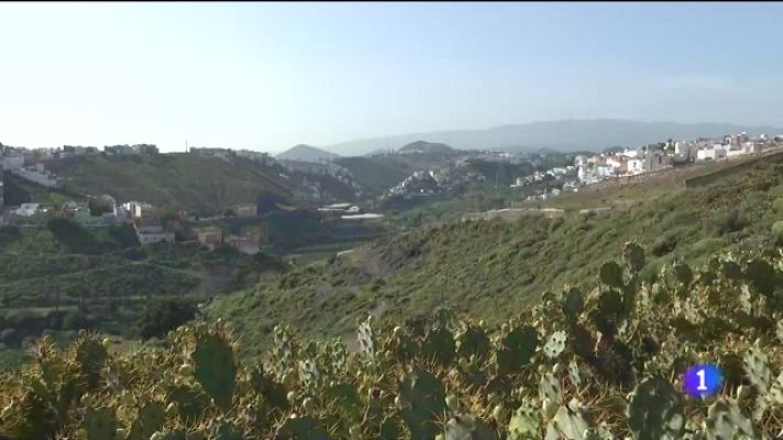 Telecanarias - Telecanarias - 12/11/2022