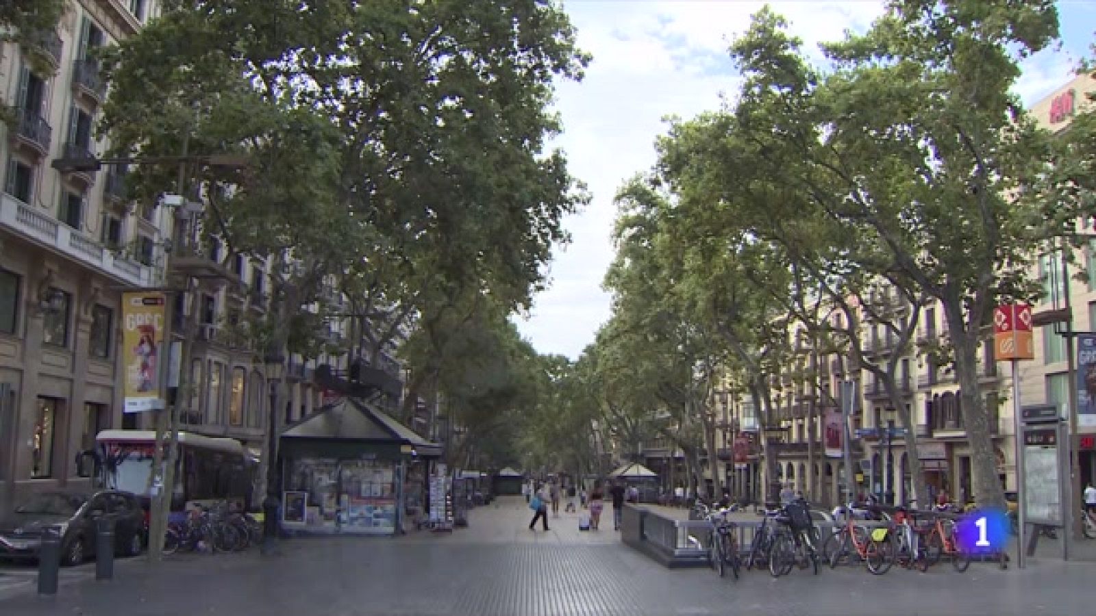 Barcelona cambia su arbolado, luchando contra el cambio climático - Ver ahora