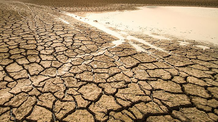 Informe Semanal - La sed de Doñana - ver ahora