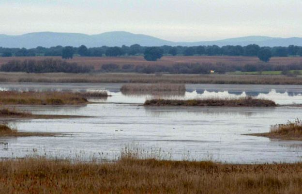 Ciencia y tecnología en Rtve.es - Daimiel mejora con las lluvias