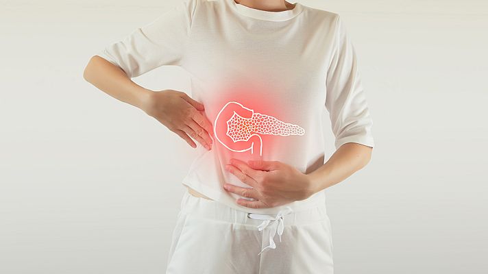 Saber vivir - El páncreas, indispensable en nuestra digestión