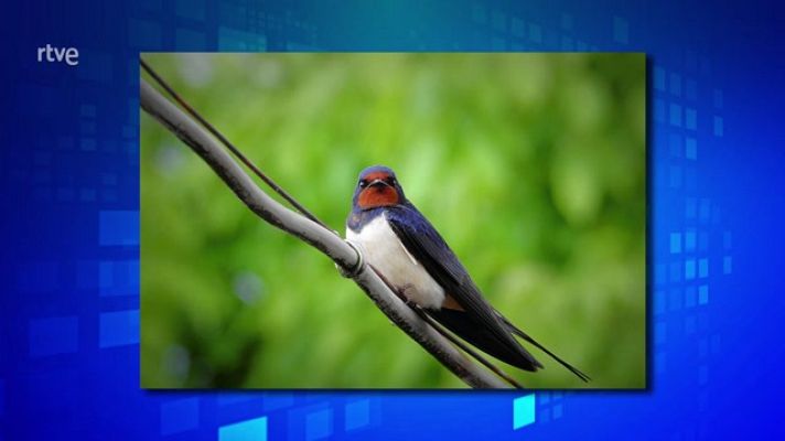 Saber y ganar - Saber y ganar - 14/11/22