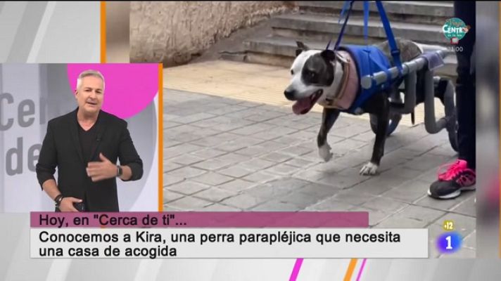 Cerca de ti - Cerca de ti - 15/11/2022