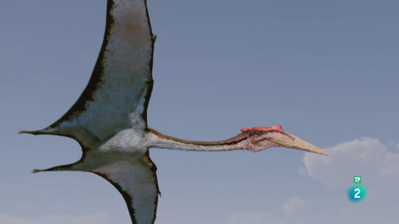 Som Documentals -  La conquesta del cel- Episodi 2: Rivals - Veure ara