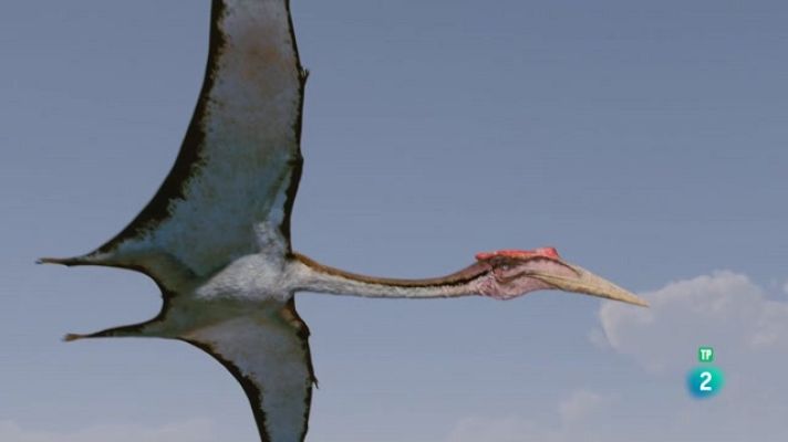 Som Documentals - La conquesta del cel - Rivals