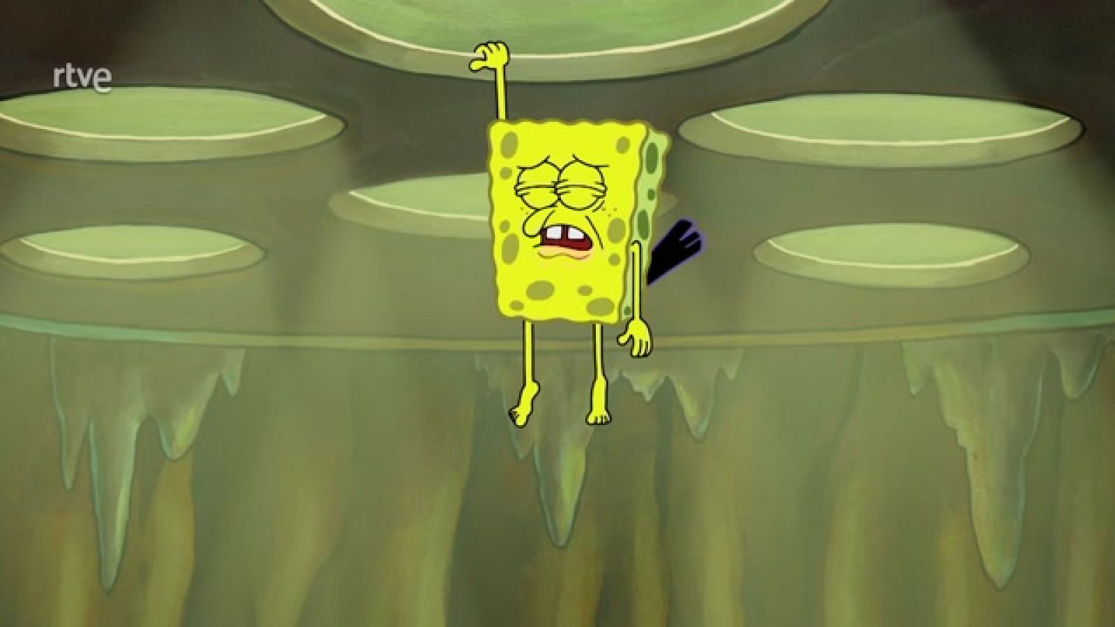 La increíble esponja menguante - Bob Esponja | Ver