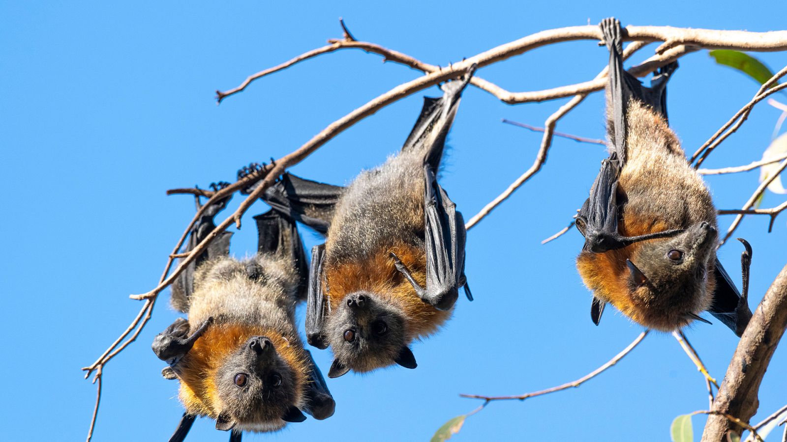 En movimiento - Episodio 3: Desafiando a la gravedad - ver ahora