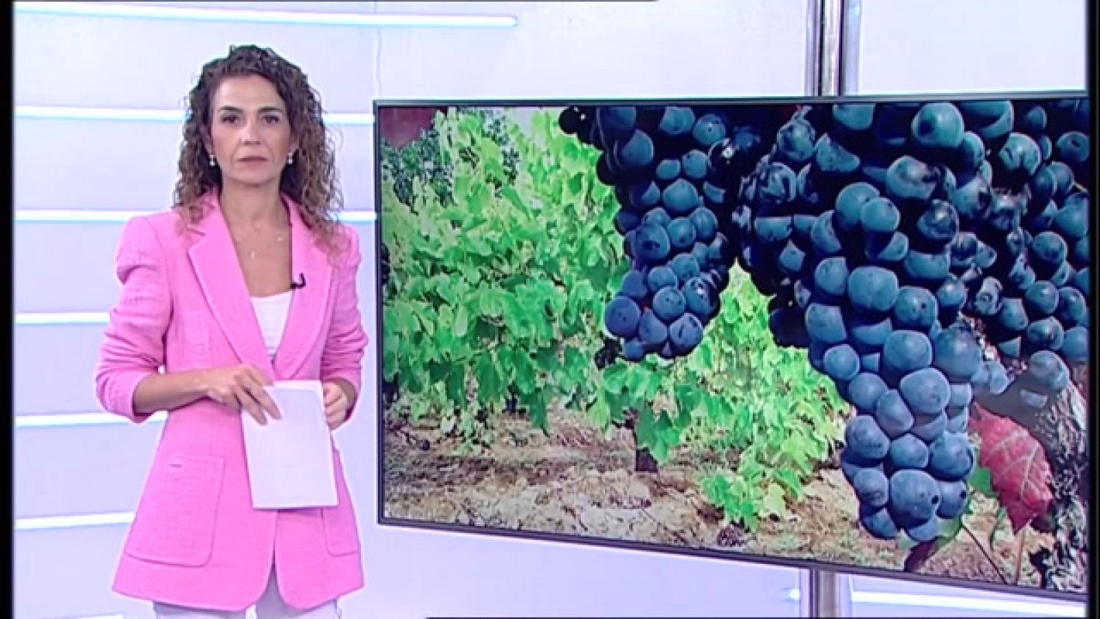 Informativo Telerioja 2 -  17/11/22 - Ver Ahora