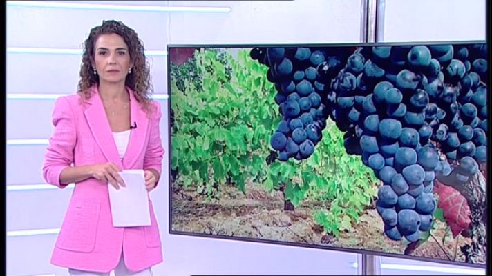 Informativo Telerioja - Informativo Telerioja 2 -  17/11/22