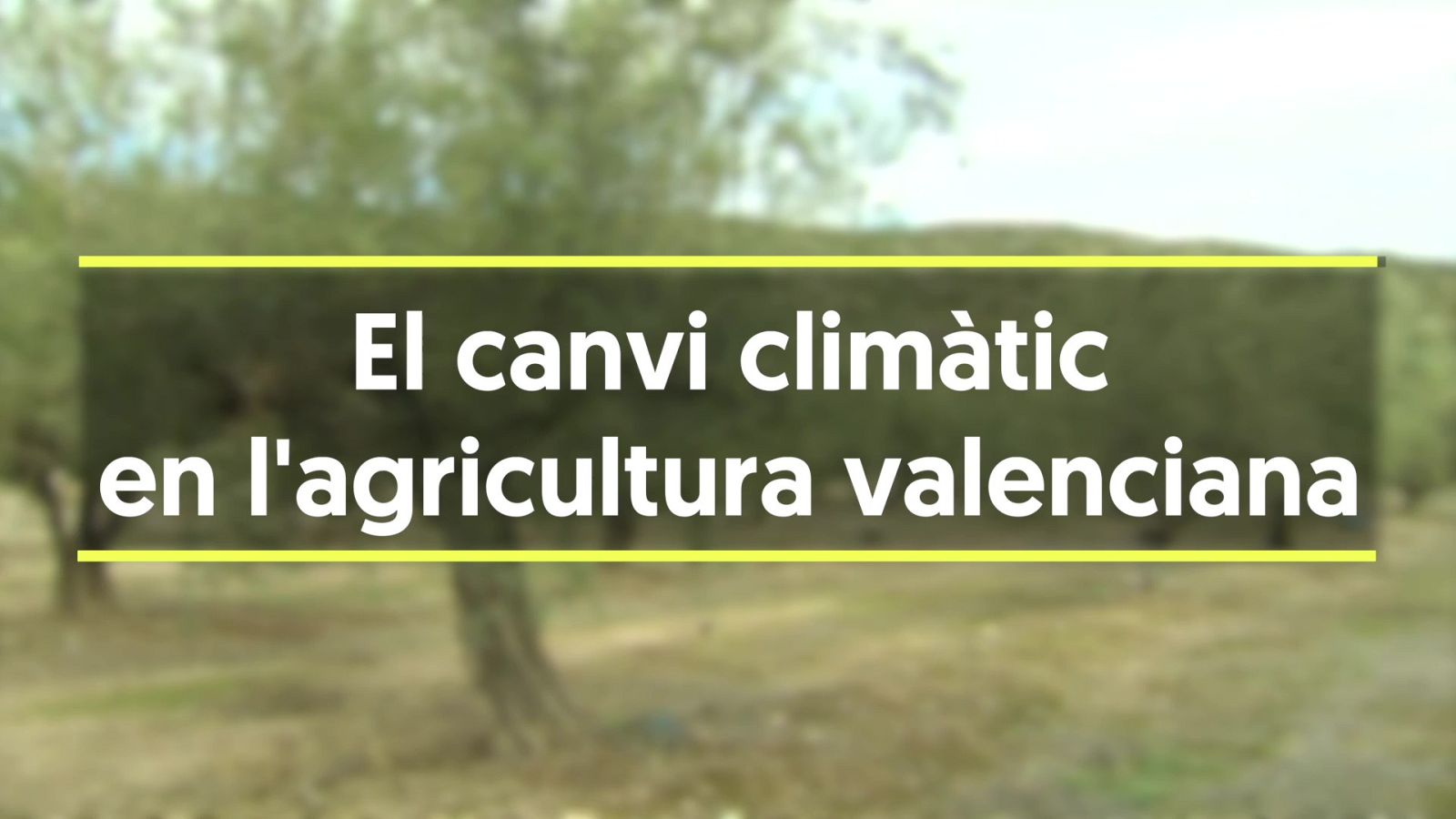El canvi climàtic en la agricultura valenciana